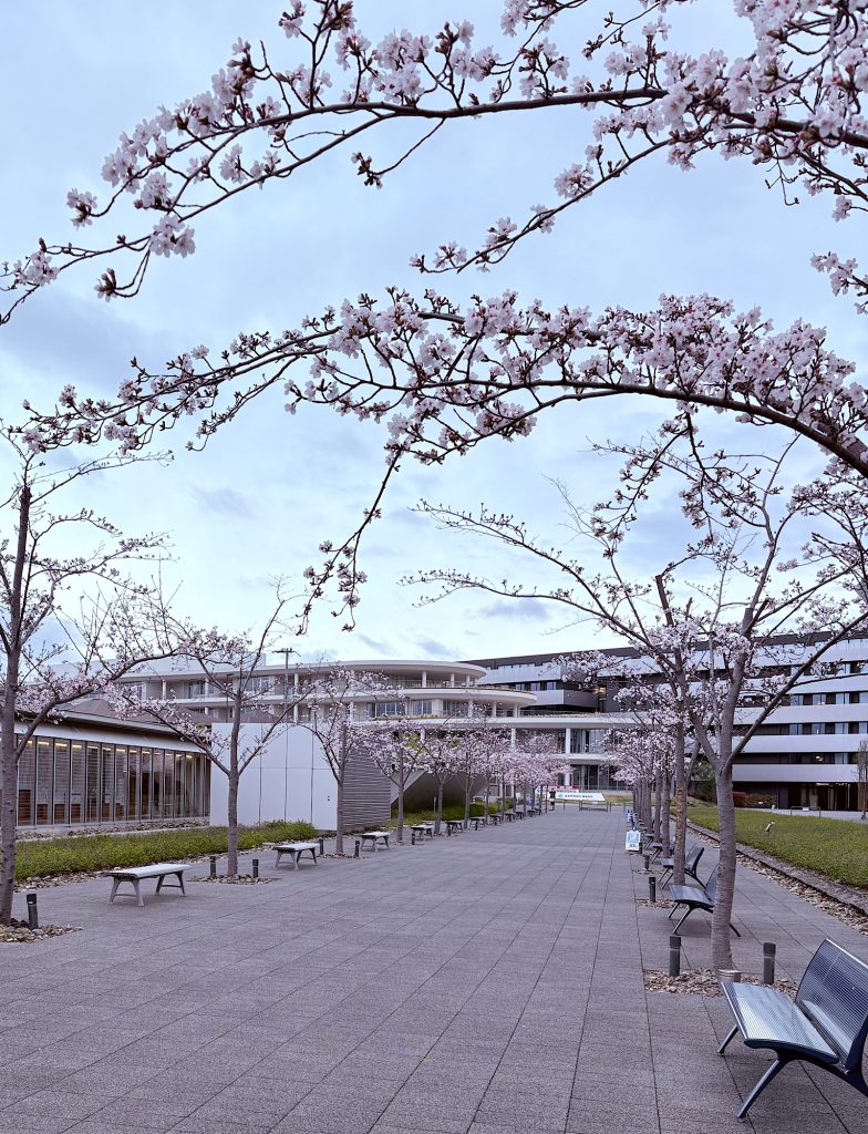 教員生活40年目の始まり